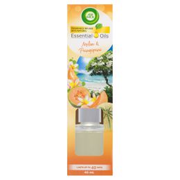 Air Wick Melon & Frangipani Reeds 